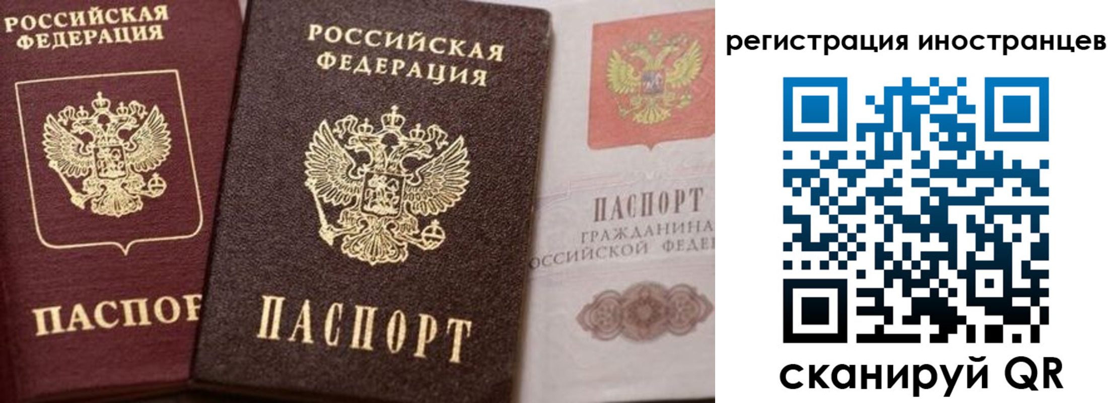 временная регистрация купить в Выборге